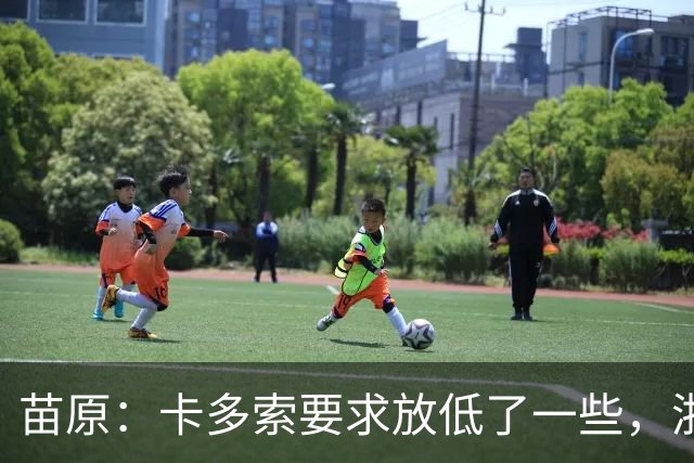 苗原：卡多索要求放低了一些，浙江队稳步推进中